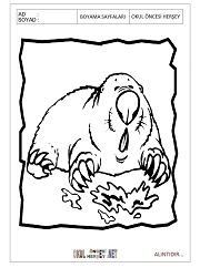 Köstebek boyama sayfaları